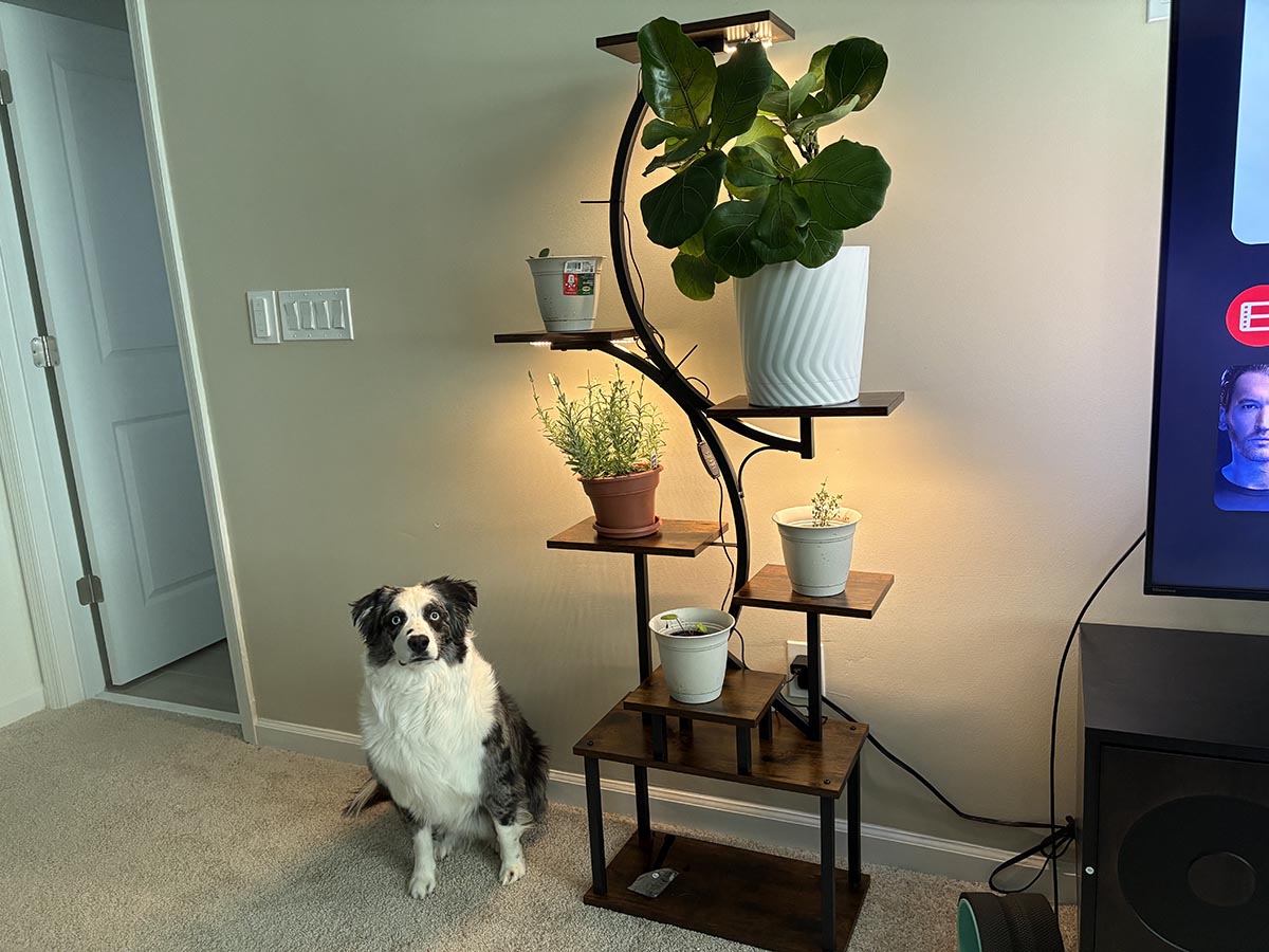 Bacekoll plant stand grow light