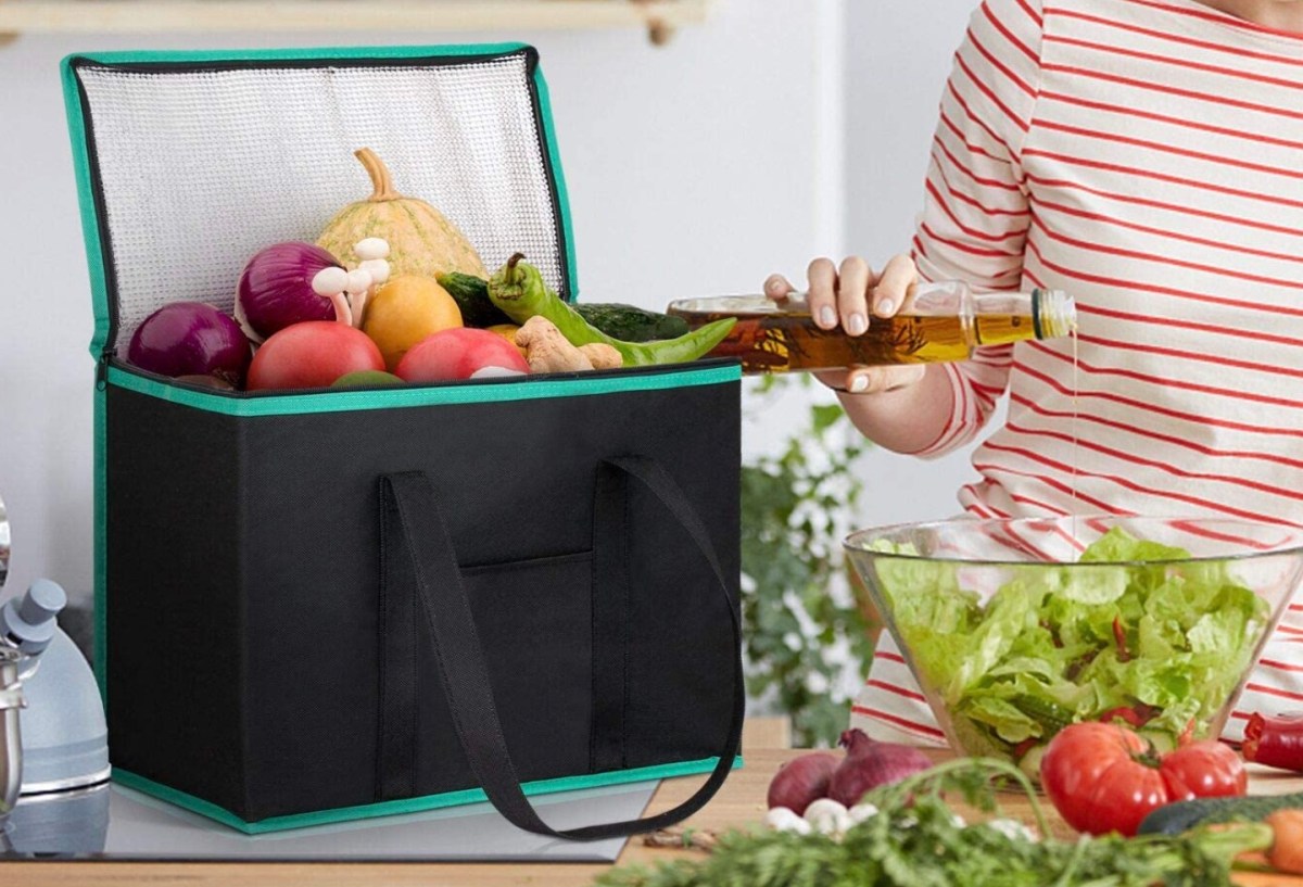 Best Insulated Grocery Bag