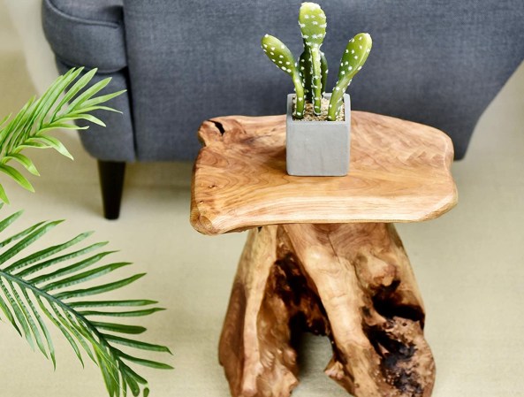 Best Plant Stands