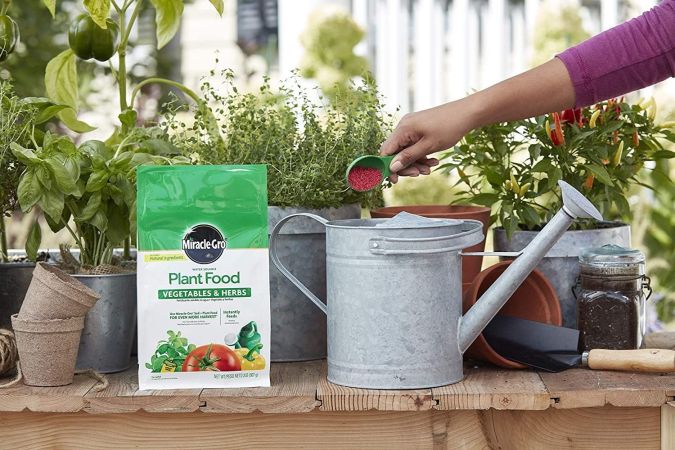 The Best Fertilizer for Peppers and Veggies