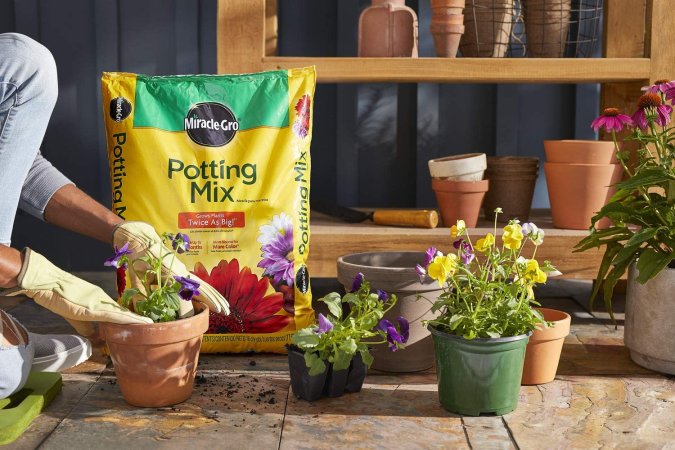 The Best Soil For Roses Options