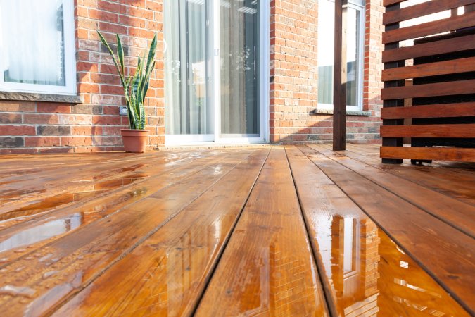 A freshly wet backyard deck has a house plant and puddles of water on it.