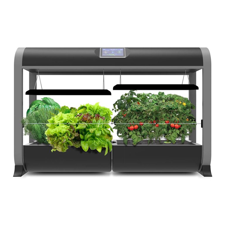  The Best AeroGarden Option: AeroGarden Farm 24Basic, Salad Bar Seed Kit