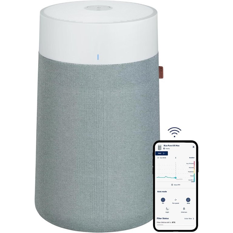  The Best Air Purifiers for Mold Option: Blueair Blue Pure 411i Max Air Purifier