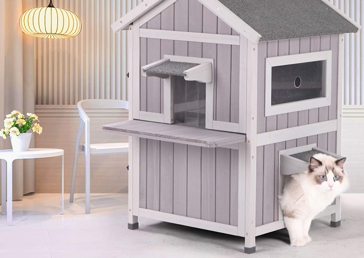 The Best Cat Shelter Options