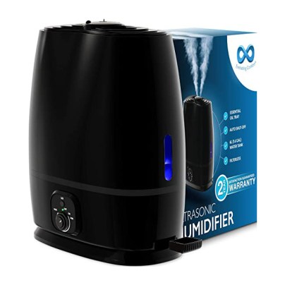 The Best Filterless Humidifier Option: Everlasting Comfort Cool Mist Humidifier