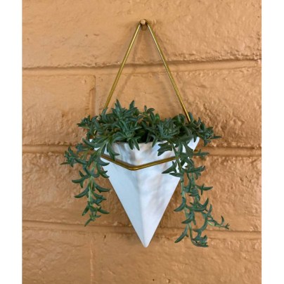 The Best Indoor Succulent Options: Simply Succulents Diamond Wall Planter