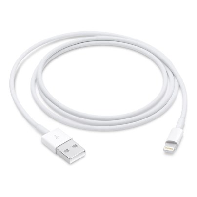 The Best Lightning Cable Options: Apple Lightning to USB Cable