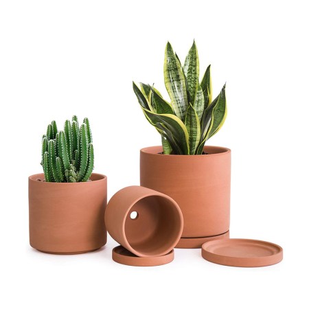 D’vine Dev Terracotta Pots for Plants