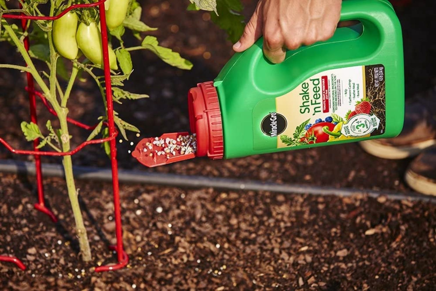 best fertilizers for peppers