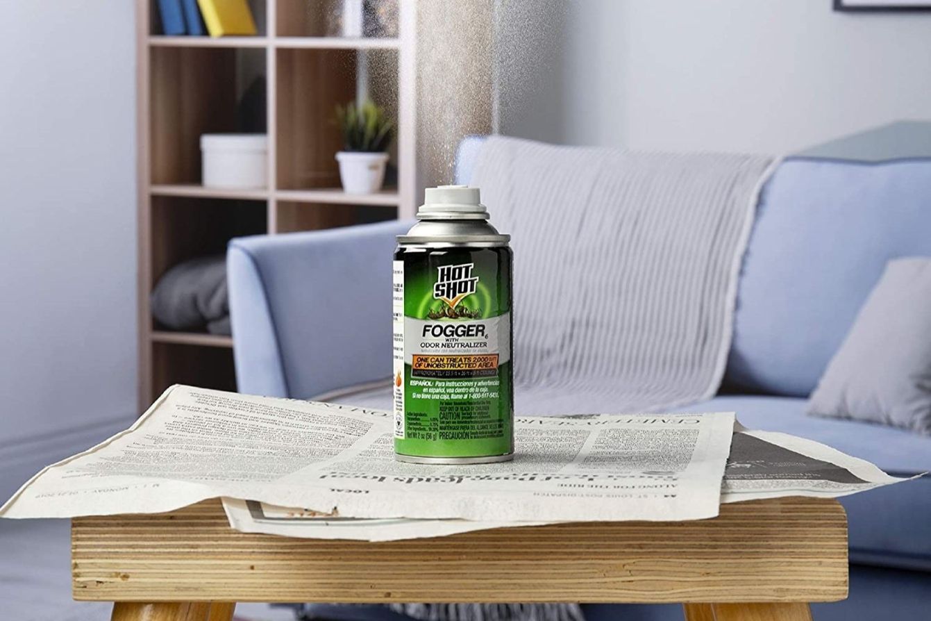 The 4 Best Flea Foggers (2024 Guide)