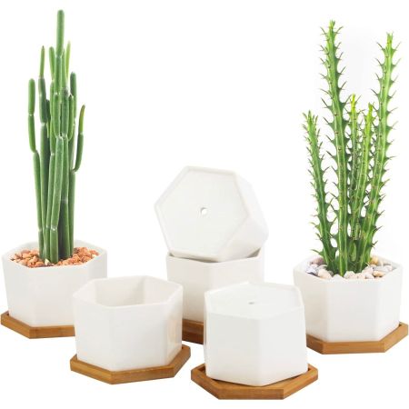 OAMCEG 4-Inch Succulent Planters, Set of 6