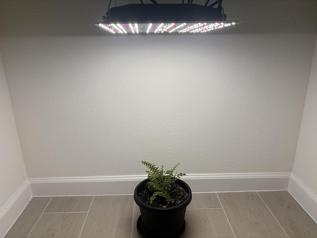 Vivosun grow light