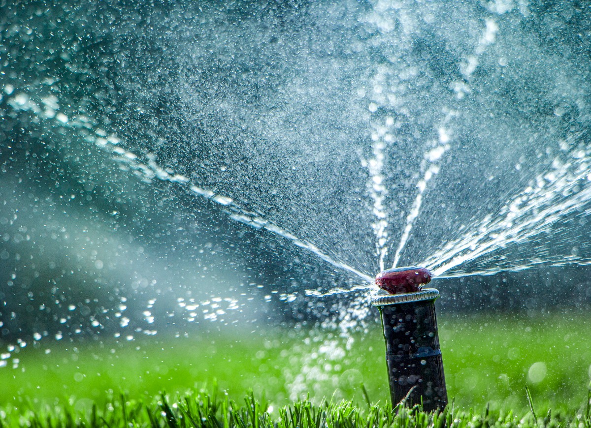 automatic-sprinkler-system-watering-the-lawn-closeup-picture-id1201306662