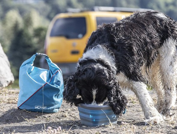 Genius! The DIY Dog Feeder that Doubles as Storage