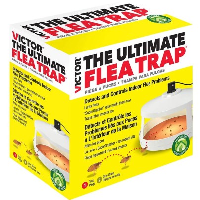 The Best Flea Trap Options: Victor Safer Brand M230A Ultimate Flea Trap