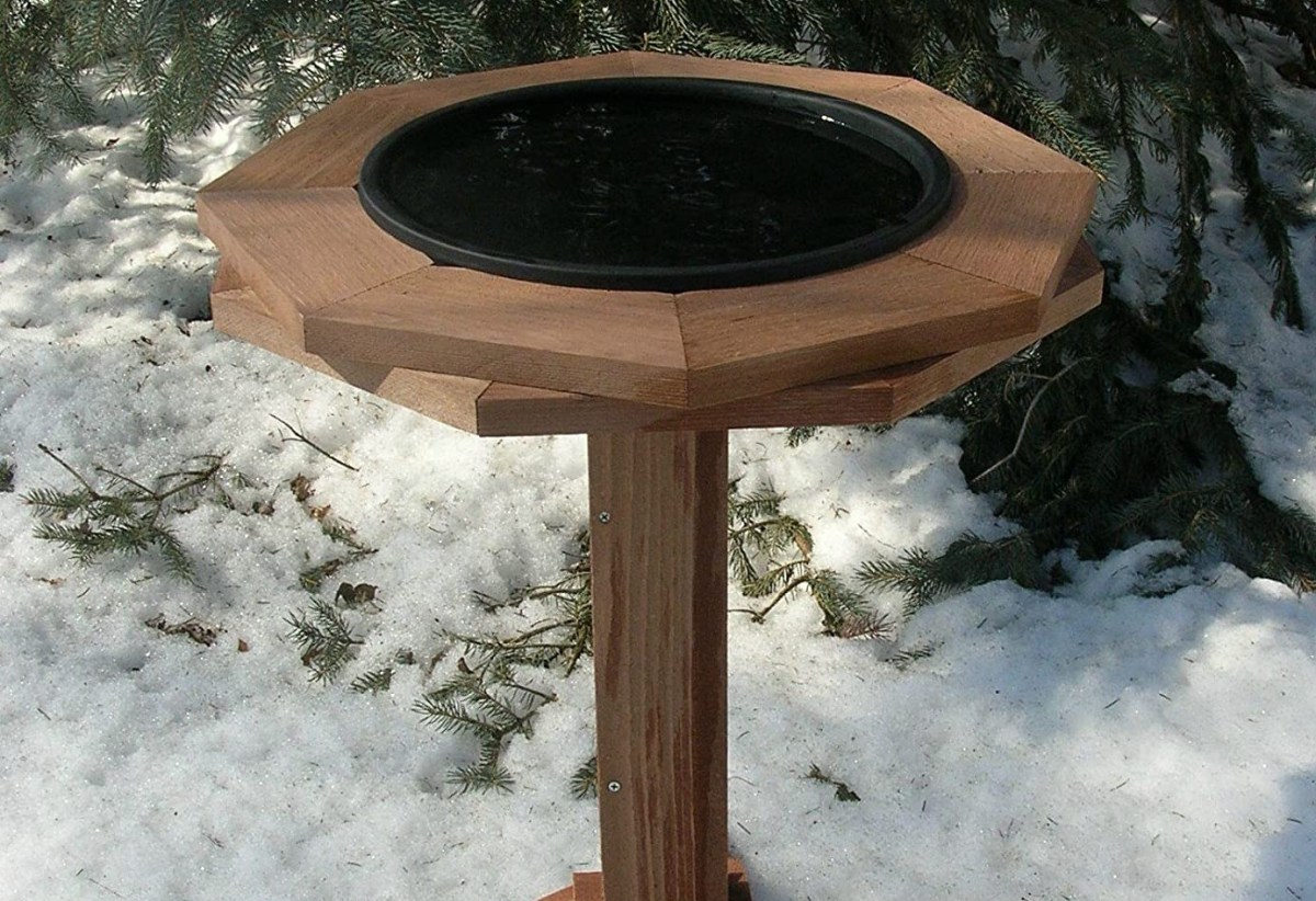 The Best Heated Bird Bath for Cold Weather Bob Vila