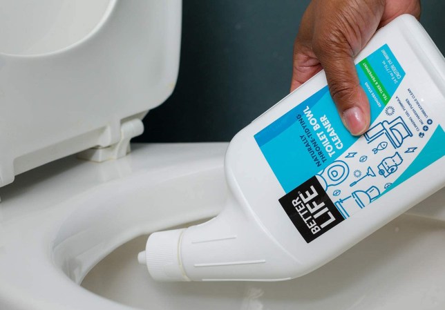 The Best Toilet Bowl Cleaners, Throne Tested and Approved