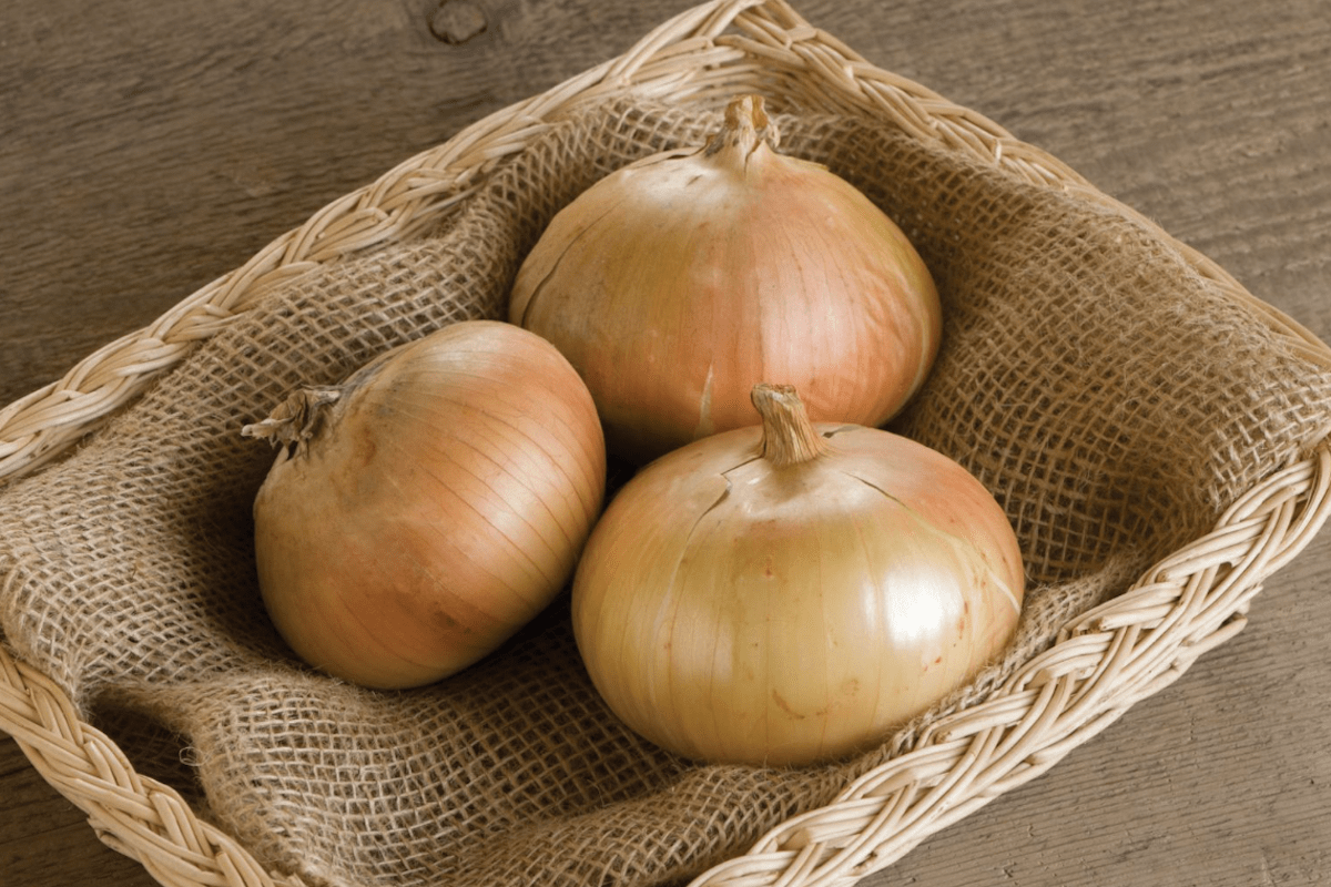 Bridger onions in a basket.