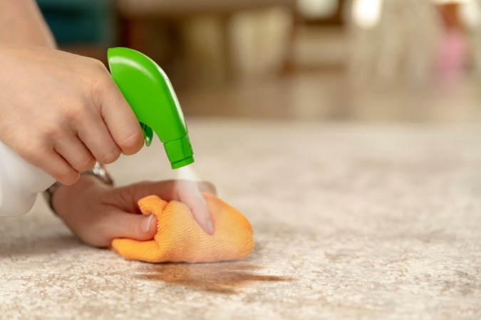 Every Pet Parent Needs This $10 Cleaner