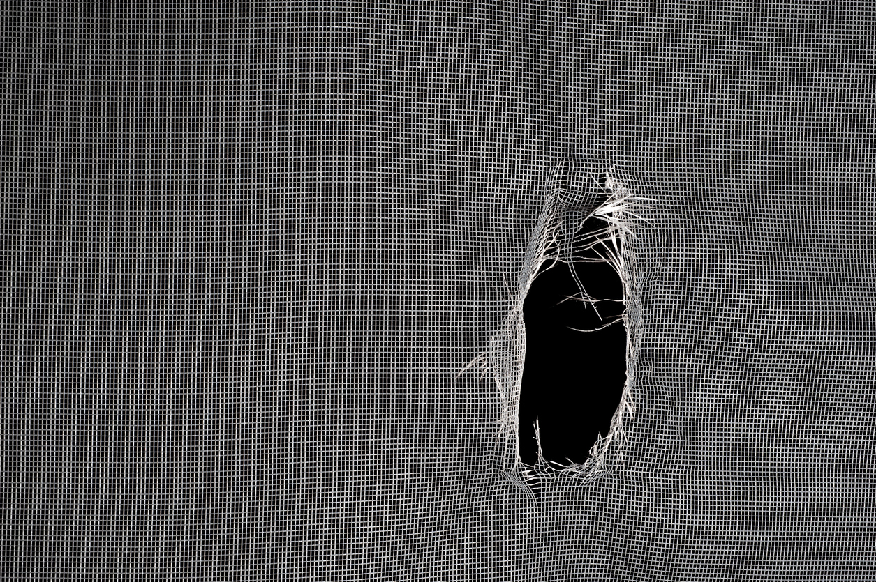 An elliptical hole in a window screen.