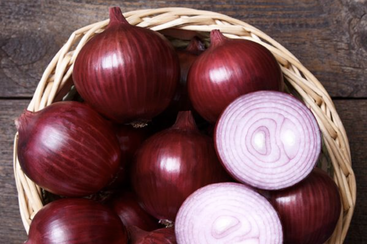 Red Mountain Onions in a basket.