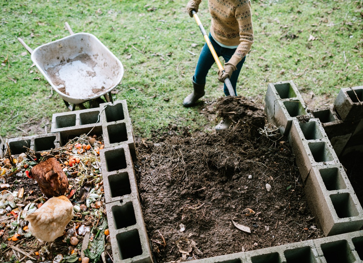 woman-scooping-nutrient-rich-compost-into-wheelbarrow-picture-id1200151530