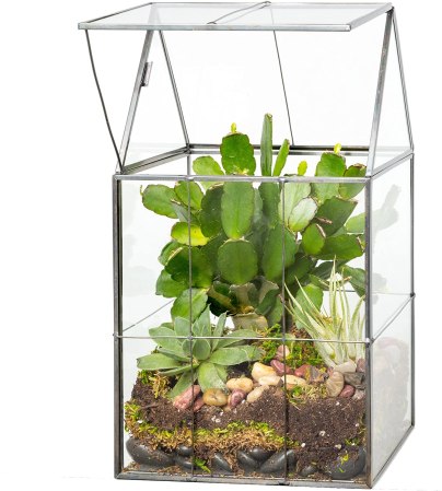 D’Eco Glass Geometric DIY Terrarium