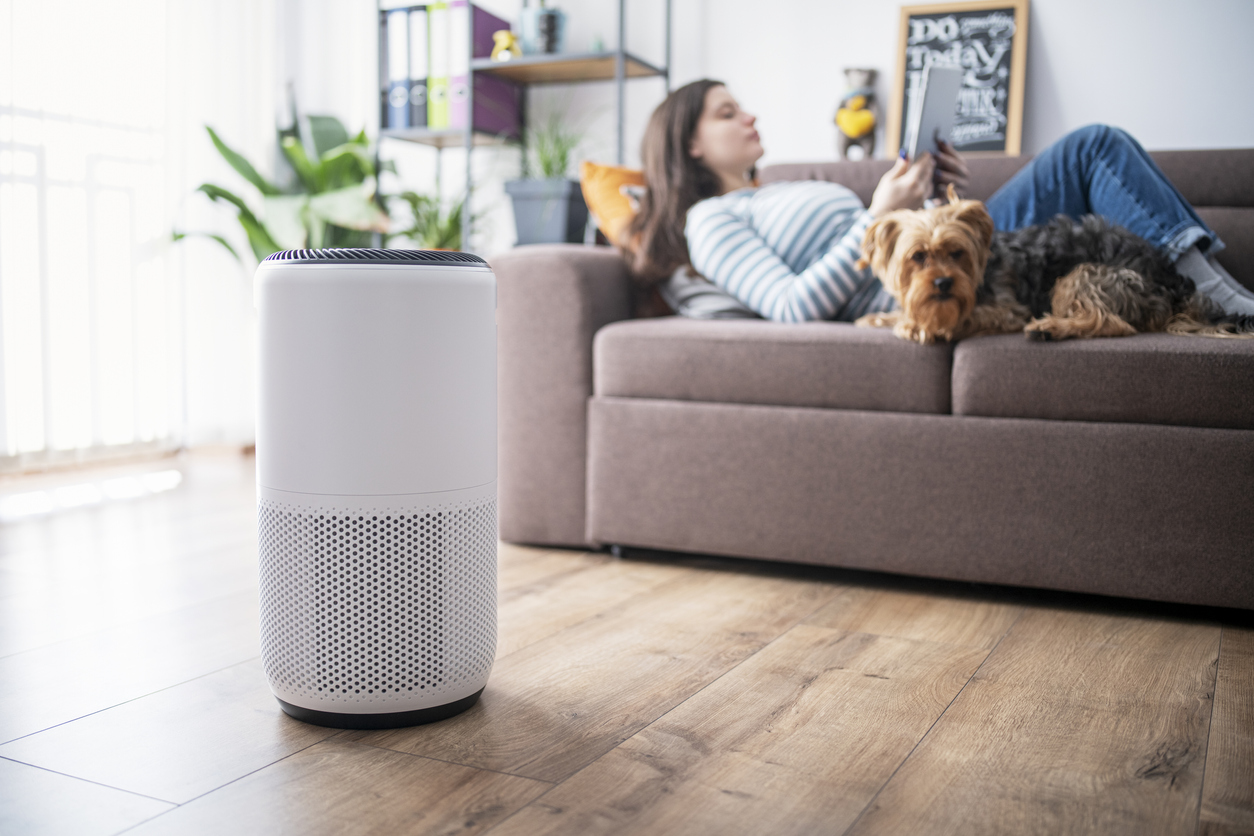 The best air purifier for pets on a living room floor with a woman and her dog relaxing on the couch in the background.