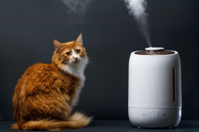 The Best Air Purifiers for Mold That Improve Air Quality
