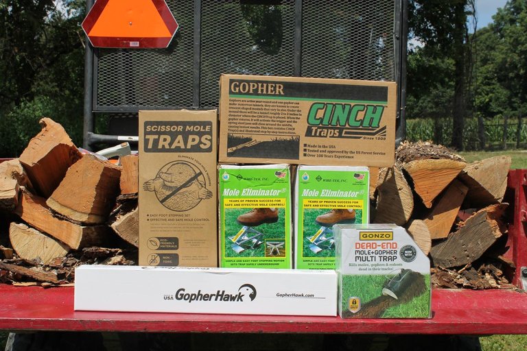 Best Mole Traps
