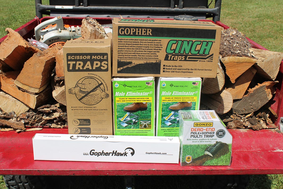 Best Mole Traps