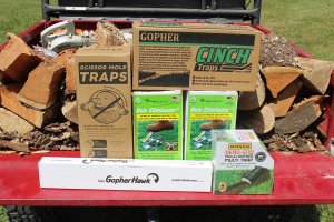 Best Mole Traps