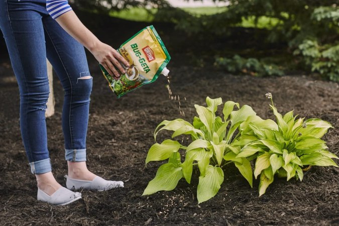 The Best Weed Killers for Flower Beds