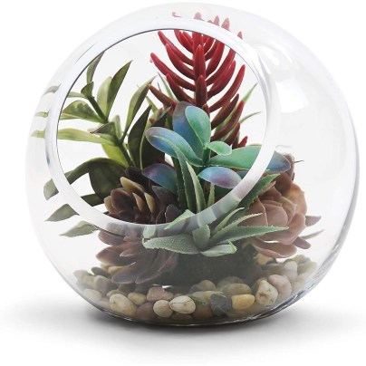 The Best Terrarium Option: WGV Slant Cut Bowl Glass Vase