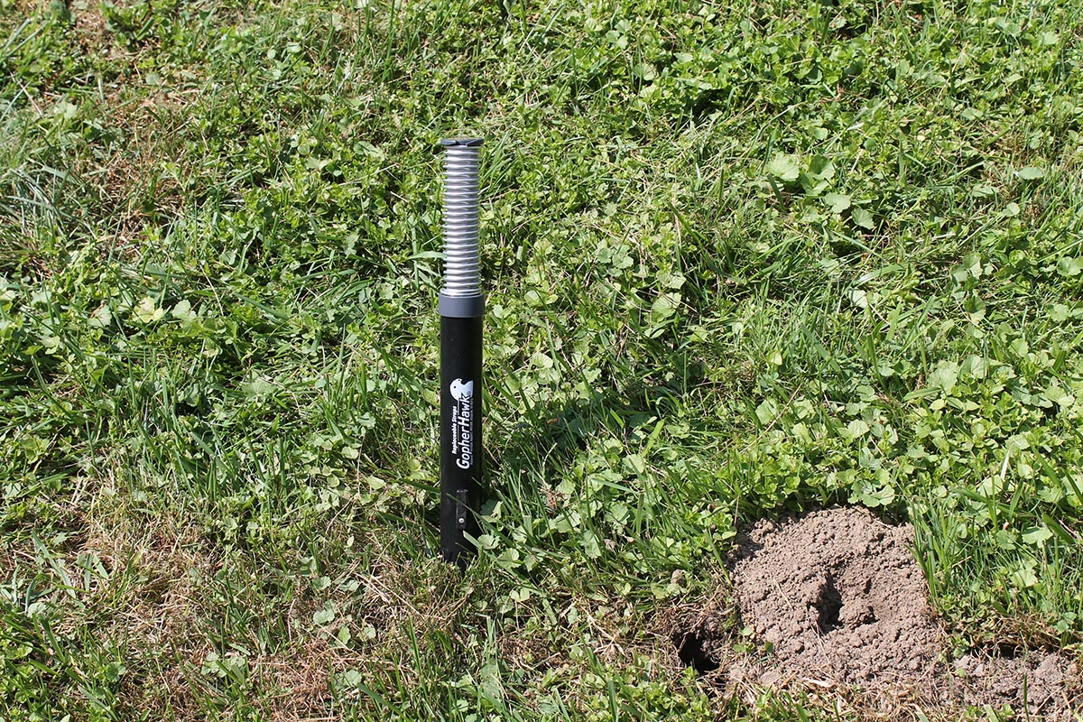 GopherHawk Mole Trap Set