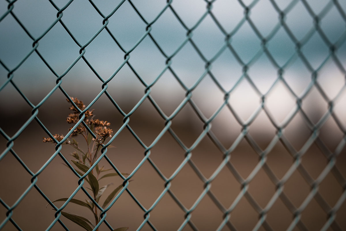 How to Save Money on Chain Link Fence Costs