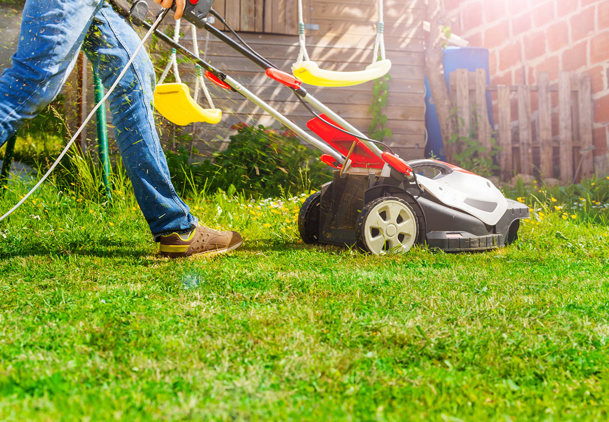 Mowing Lawn to Save Dead Grass