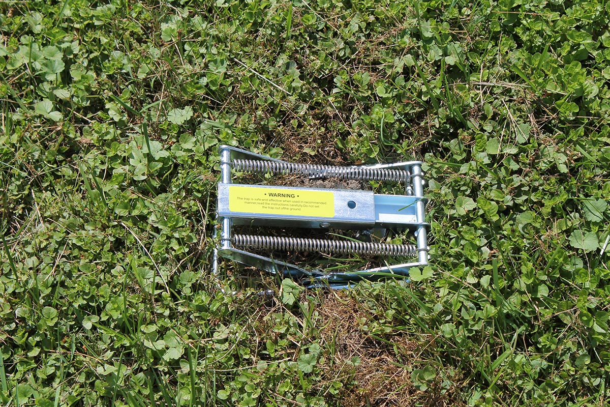 Polaflex Mole Trap Set in grasss