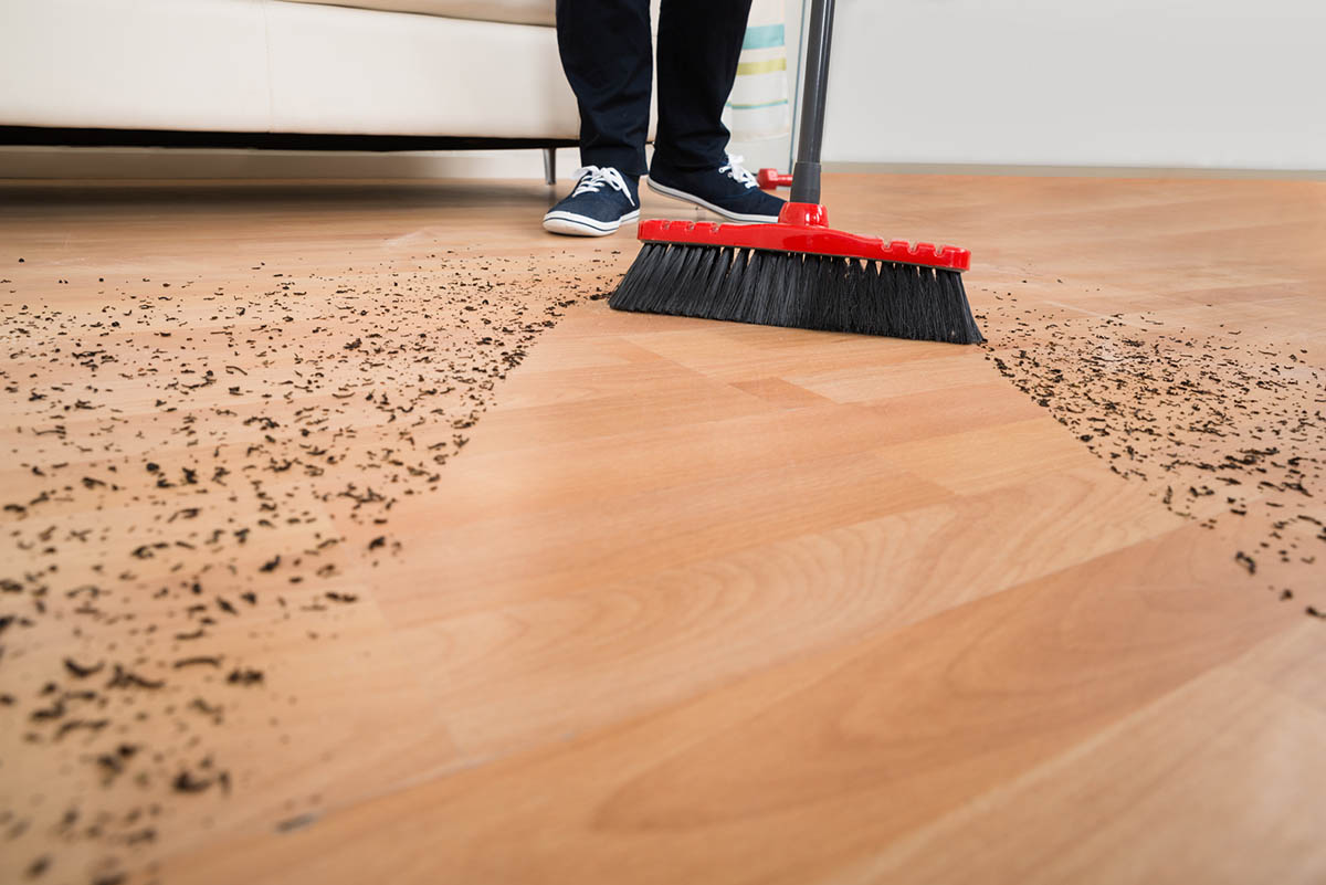 The Best Broom for Hardwood Floors of 2024 Picks from Bob Vila
