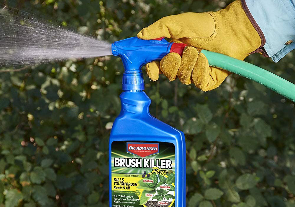 The Best Brush Killer Options