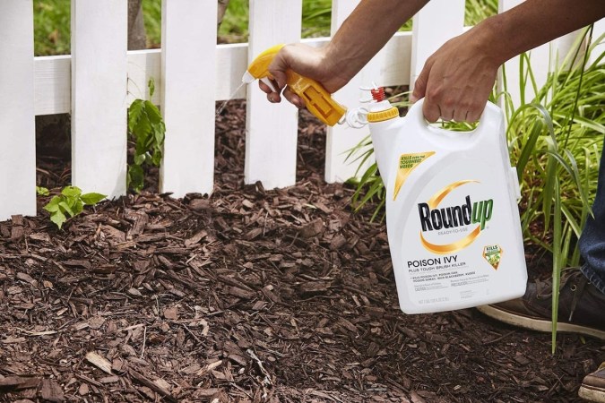 Best Pet-Safe Weed Killers That Actually Work to Banish Weeds and Grass