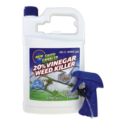 Bottle of Green Gobbler Vinegar Weed & Grass Killer on a white background