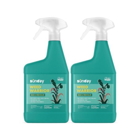  The Best Organic Weed Killer Option Sunday Weed Warrior