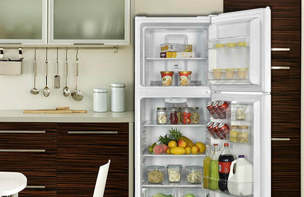 The Best Top Freezer Refrigerator Options