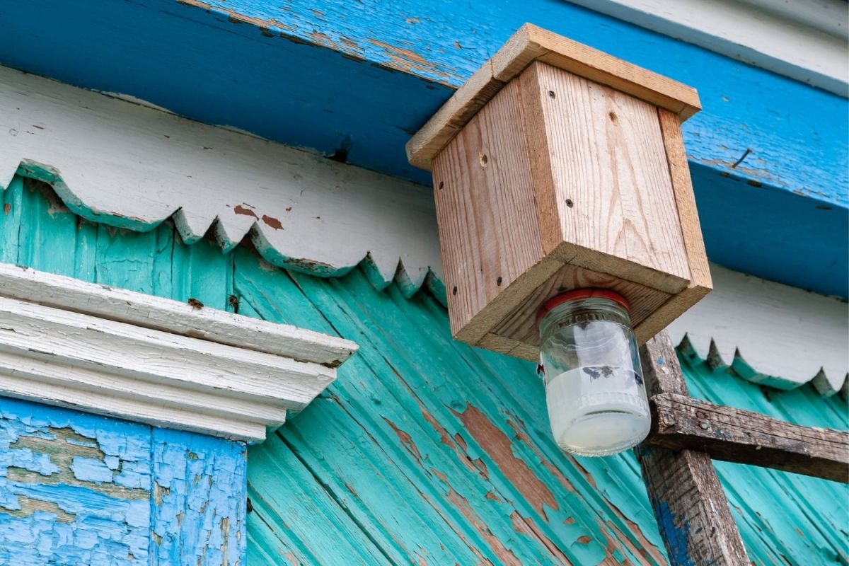 The Best Carpenter Bee Traps - Picks by Bob Vila