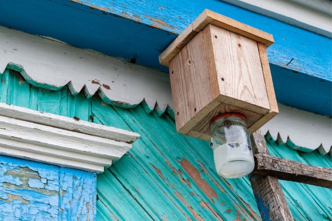 How to Make a Carpenter Bee Trap