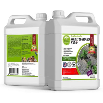 The Best Dandelion Killer Option: Eco Living Solutions Organic Vinegar Weed Killer