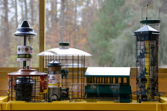 The Best Squirrel-Proof Bird Feeders Tested in 2023