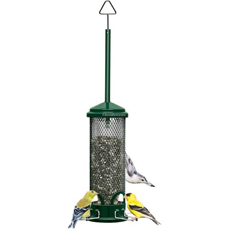  Brome SquirrelBuster Mini Squirrel-Proof Bird Feeder on a white background